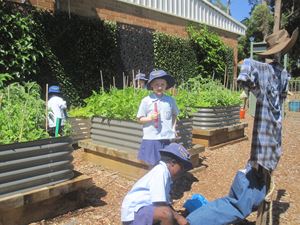 2020 Garden Term 2 Week 1 and 3_7183
