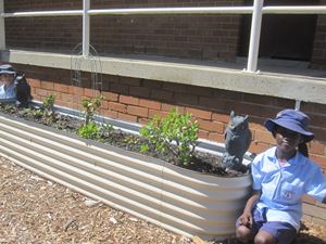 2020 Garden Term 2 Week 1 and 3_7187