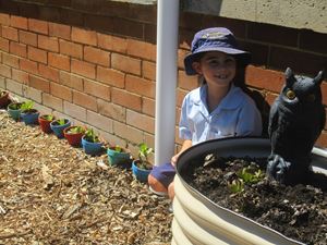 2020 Garden Term 2 Week 1 and 3_7188