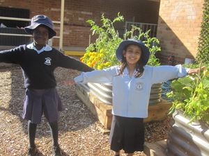 2020 Garden Term 2 Week 1 and 3_7229