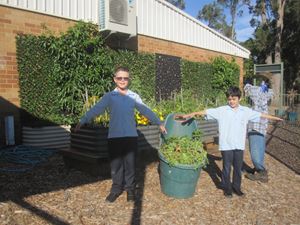 2020 Garden Term 2 Week 1 and 3_7232