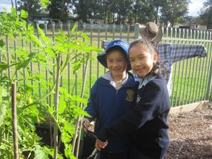 2020 Garden 2