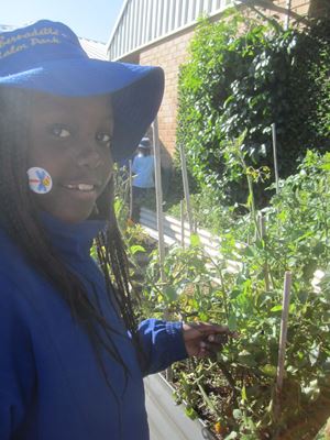 2020 Garden 4