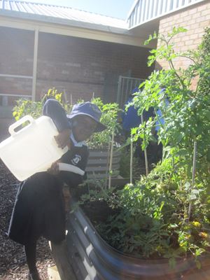 2020 Garden 6