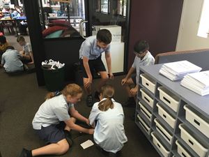 Stage 3 Learning Term 1_0225 3
