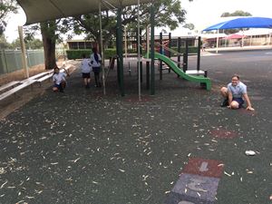 Stage 3 Learning Term 1_0326