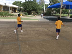 Stage 3 Learning Term 1_0335