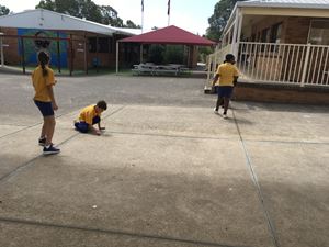 Stage 3 Learning Term 1_0336