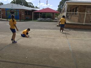 Stage 3 Learning Term 1_0337