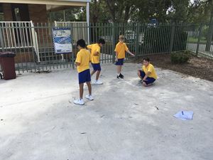 Stage 3 Learning Term 1_0343