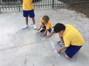 Stage 3 Learning Term 1_0344