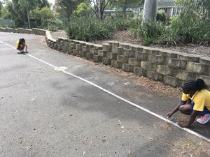 Stage 3 Learning Term 1_0348