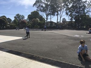 Stage 3 Learning Term 1_0351