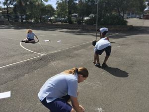 Stage 3 Learning Term 1_0353