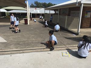 Stage 3 Learning Term 1_0354