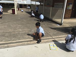Stage 3 Learning Term 1_0355
