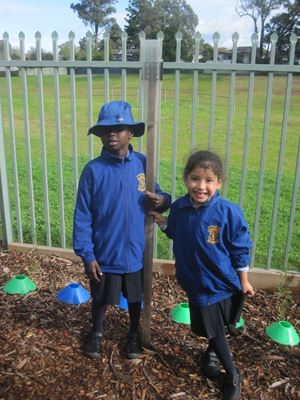 2020 Blueys Patch Term 3 Week 5 3