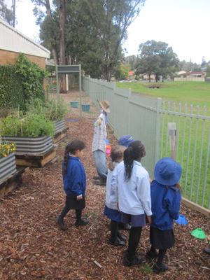 2020 Blueys Patch Term 3 Week 5_7391