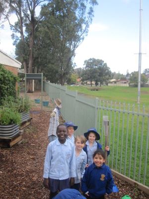 2020 Blueys Patch Term 3 Week 5_7392