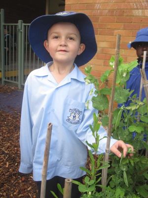 2020 Blueys Patch Term 3 Week 5_7394