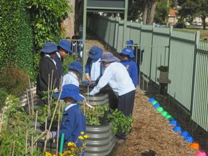 2020 Blueys Patch Term 3 Week 5_7449
