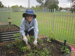 2020 Blueys Patch Term 3 Week 5_7468