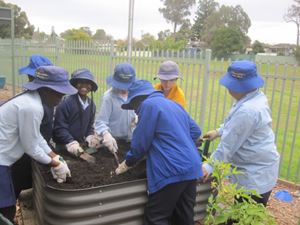 2020 Blueys Patch Term 3 Week 5_7471