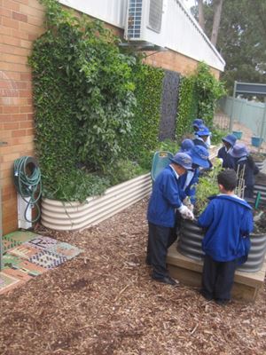 2020 Blueys Patch Term 3 Week 5_7475