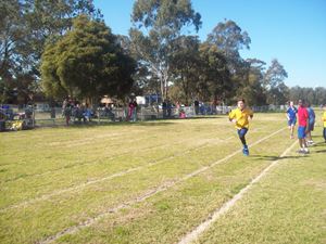 Sports Day 2015 035