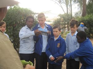 IMG 3167