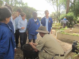 IMG 3175