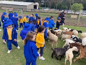 2022-farm-excursion-page-2-image-0001