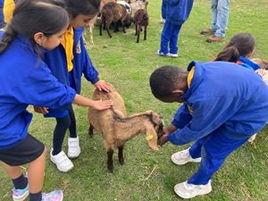 2022-farm-excursion-page-2-image-0003
