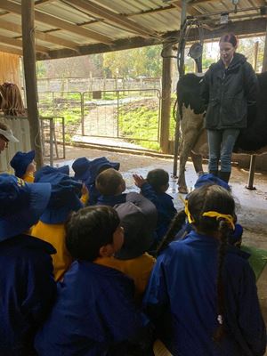 2022-farm-excursion-page-3-image-0004