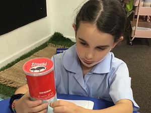 St Bernadette's Catholic Primary Lalor Park