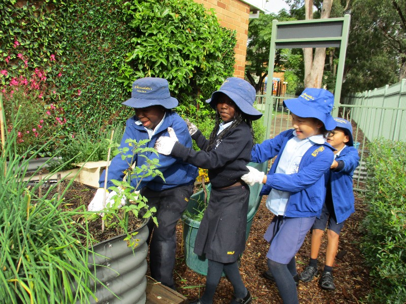 St Bernadette's Lalor Park