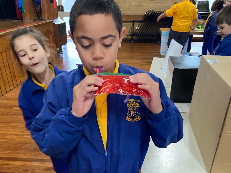 Science Fair at St Bernadette's Lalor Park