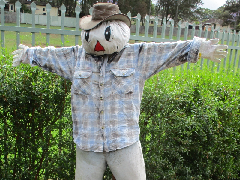 Bluey's Patch at St Bernadette's Catholic Primary Lalor Park