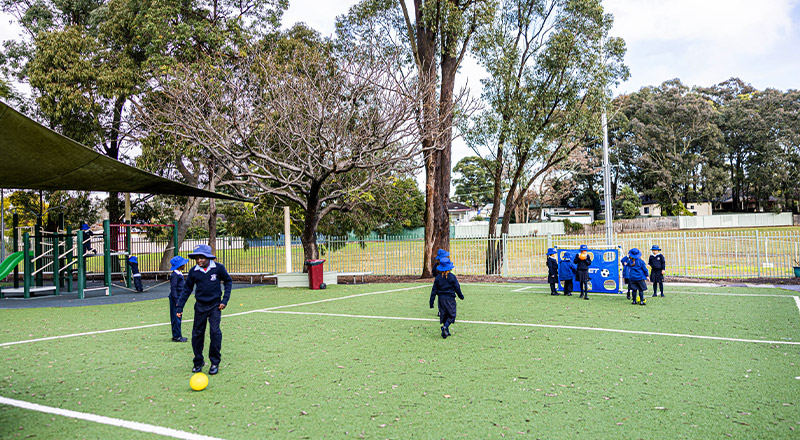 St Bernadette's Catholic Primary School Lalor Park turfed area