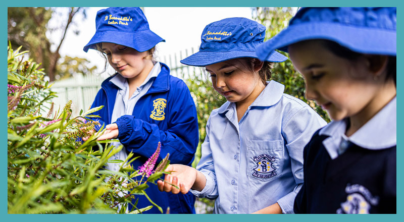 St Bernadette's Catholic Primary School Lalor Park students inside Bluey's vegetable garden