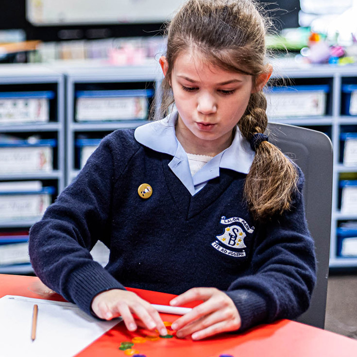 St Bernadette's Catholic Primary School Lalor Park student learning