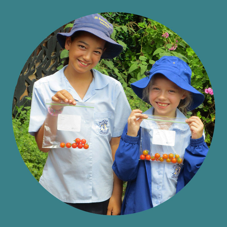 St Bernadette's Catholic Primary School Lalor Park students with tomatoes from Bluey's veggie patch