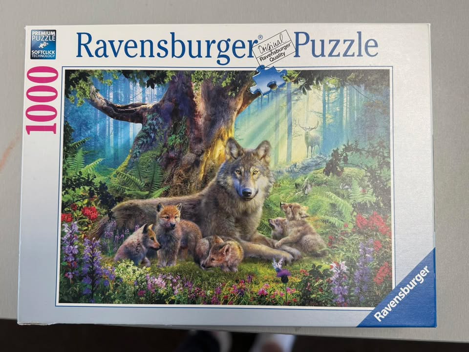 683352593576951_1324017796177091-1