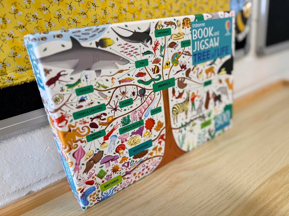 683352593576951_1371288234783380-1