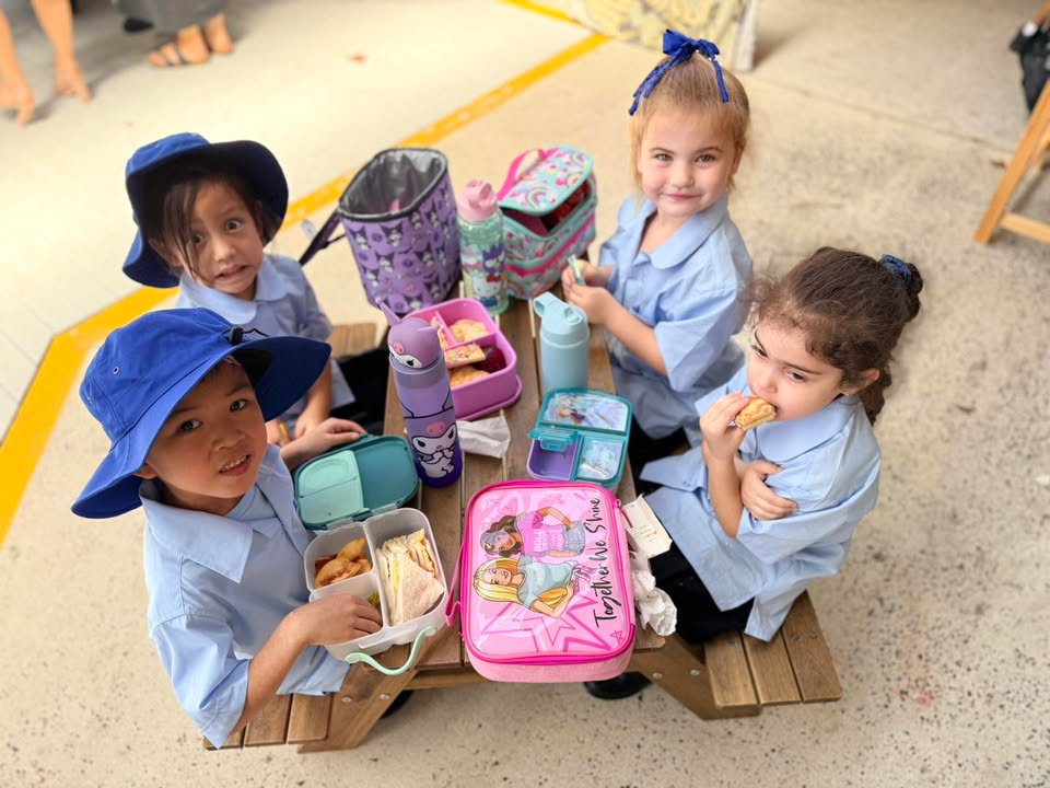 683352593576951_1426774505901419-1