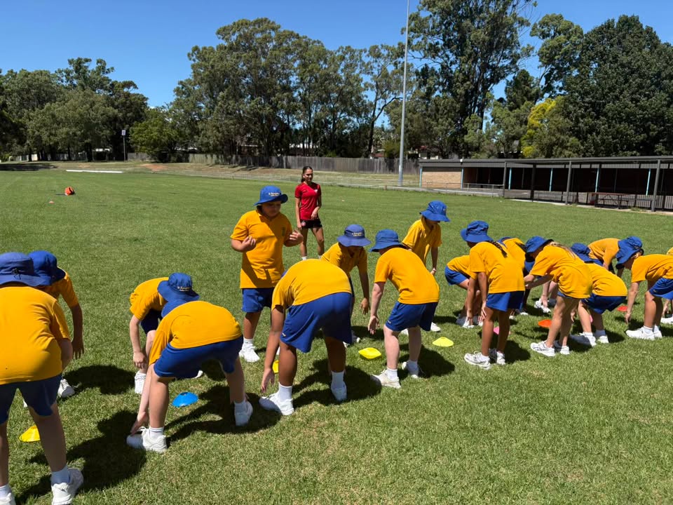 683352593576951_1440778114501058-1