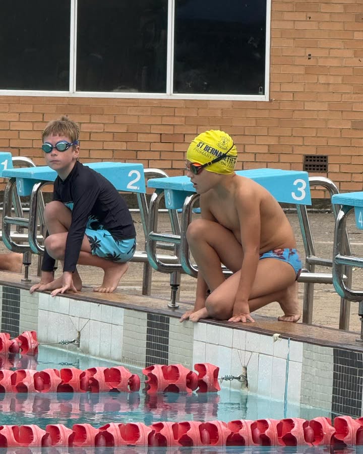 683352593576951_1445028924075977-1