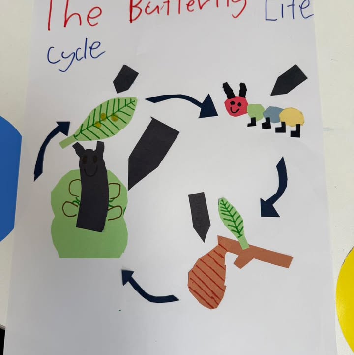 683352593576951_1457226196189583-1