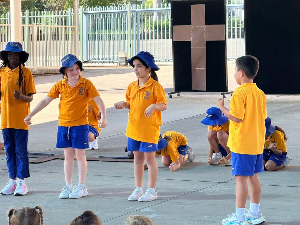 683352593576951_1479535233958679-1