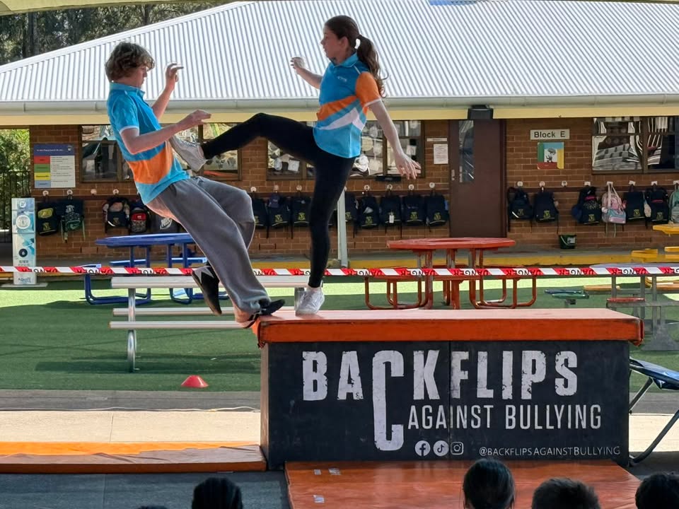 683352593576951_1616389320273269-1